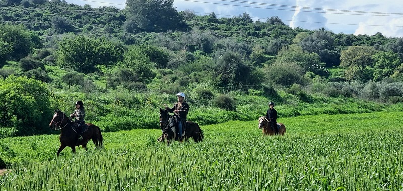 צילום: פנינה צייזלר, קק"ל