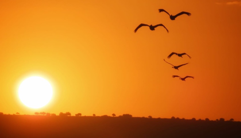 צילום: עינבר שלומית רובין, אגמון החולה, קק"ל