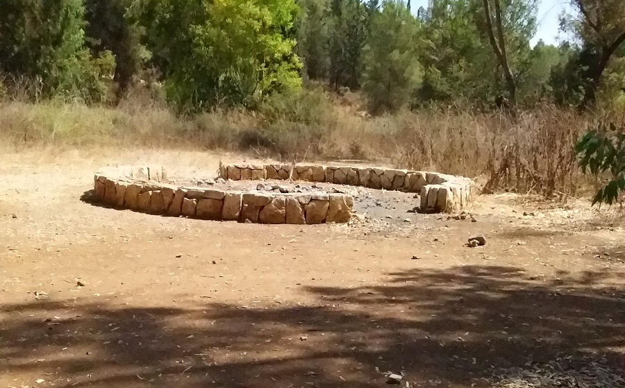 צילום: שוקי בן אהרון, ארכיון הצילומים של קק״ל