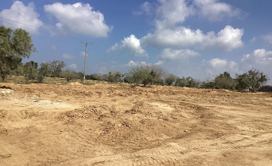 יער דורות לאחר שריפה. צילום: גיל סיאקי, קק"ל