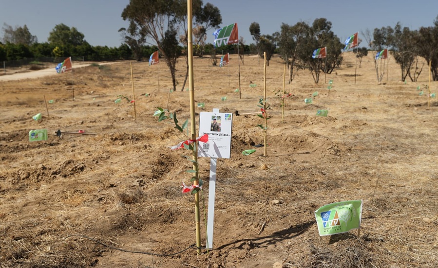 הקמת יער "חרבות ברזל". צילום: אלכס קולומויסקי, מערך ההסברה קק״ל