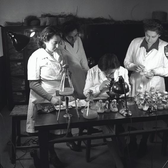 ירושלים, 1945. המעבדה הבקטריולוגית של האוניברסיטה העברית. צילום: ד"ר יעקב רוזנר, ארכיון הצילומים של קק"ל