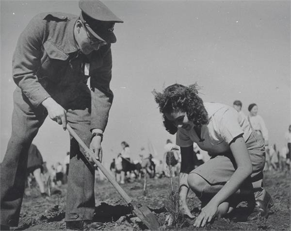 1942 - תל אביב - צילום: זולטן קלוגר, ארכיון הצילומים של קק"ל