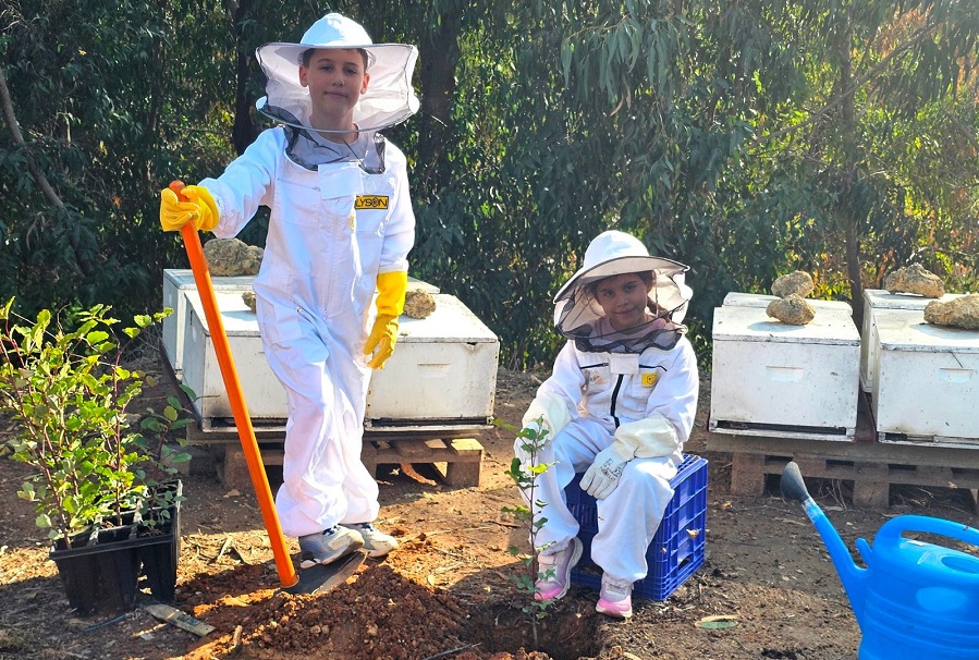 צילום: באדיבות משק דבורים סימון