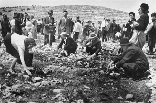 צילום: אברהם מלבסקי, ארכיון הצילומים של קק"ל