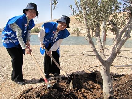 נשות המקויה מיפן נוטעות.  צילום: גבי ברון