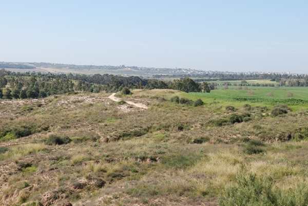 הנוף הנשקף מהחניון. צילום: דניס צין