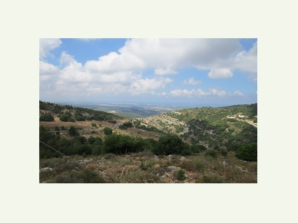 נוף מהמצפה. צילום: יואב דביר