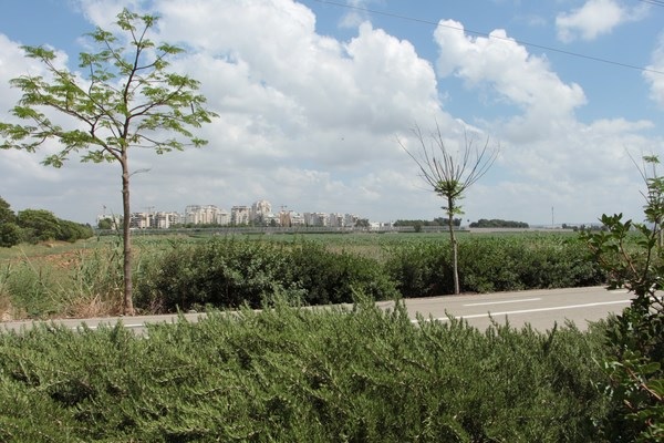 קטע בטיילת. צילום: יואב דביר