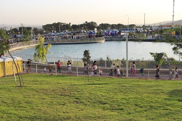 נוף האגם. צילום: יואב דביר