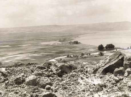 כורזים - אלמגור. צילום: ארכיון הצילומים של קק''ל