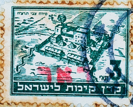 טירת צבי