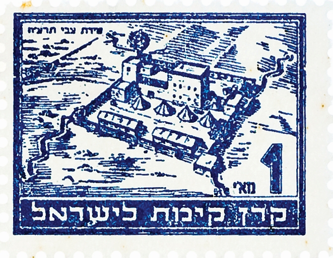 טירת צבי