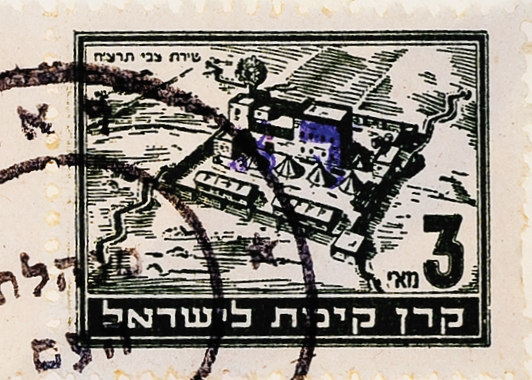 טירת צבי