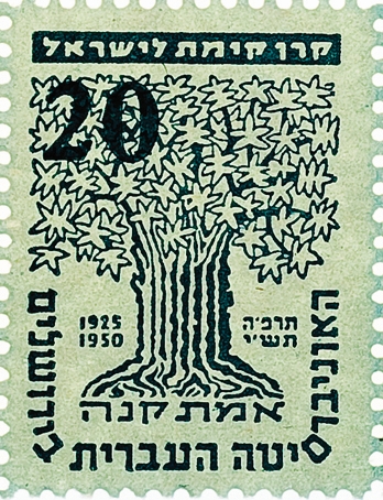 האוניברסיטה העברית
