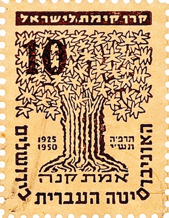 האוניברסיטה העברית