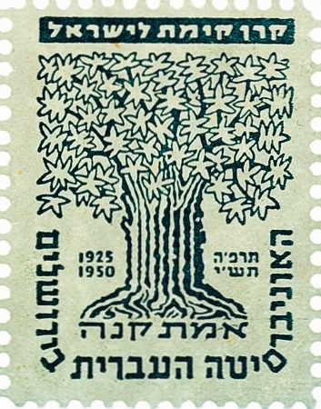 האוניברסיטה העברית