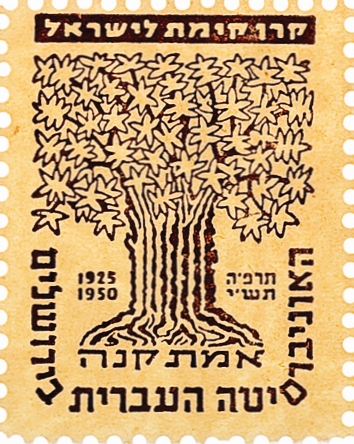 האוניברסיטה העברית