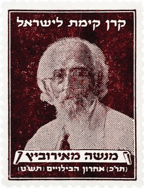 מאירוביץ