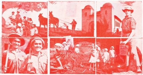 צעירי ישראל