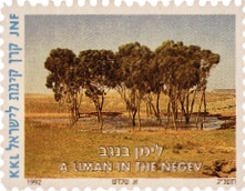 לימן בנגב