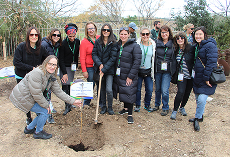 יומו הראשון של הסמינר, שחל ב-31 בדצמבר 2019, הסתיים בצפת, בהרמת כוסית לכבוד השנה האזרחית החדשה, מלווה בהתרגשות גדולה, בתקווה ובאיחולים להמשך הקשר עם ישראל בעתיד לבוא.

משתתפי סמינר המחנכים נוטעים עץ במו ידיהם.  צילום: יואב דביר, ארכיון הצילומים של קקל