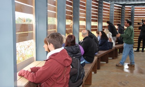 צופים בציפורים במרכז ראש ציפור.  צילום: יואב דביר