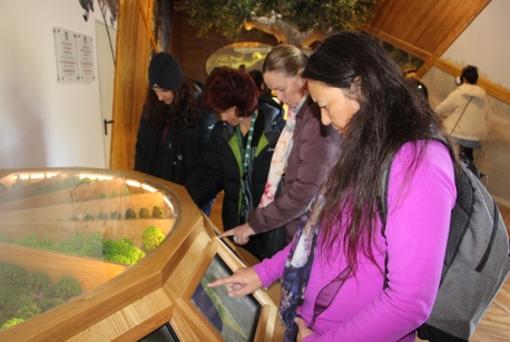 במרכז המבקרים ביער אילנות. צילום: יואב דביר



