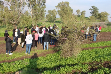 הקבוצה שומעת הסבר על הקרבות ברמת הגולן. צילום: יואב דביר