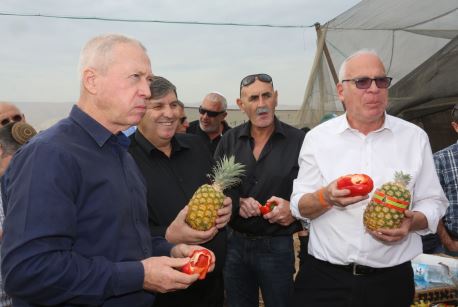 מימין לשמאל: שר החקלאות ופיתוח הכפר אורי אריאל, ראש המועצה האזורית בקעת הירדן דוד אלחייני, יו"ר קק"ל דניאל עטר ושר הבינוי והשיכון יואב גלנט עם תוצרת חקלאית מהבקעה. צילום: יוסי זמיר