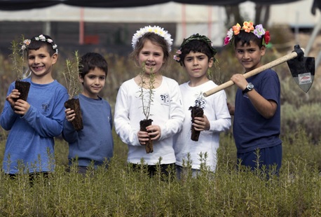 ילדים יוצאים לנטיעות ט''ו בשבט.  צילום: יוסי אלוני