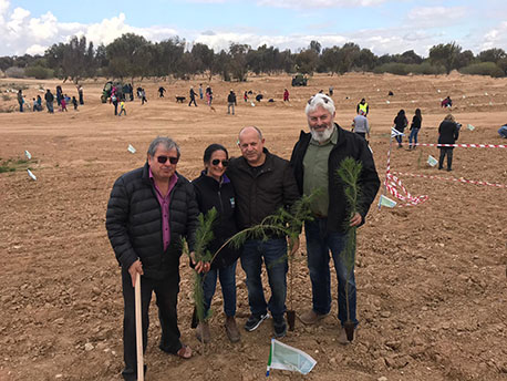 נטיעות בעומר. צילום: יוסי איפרגן, ארכיון הצילומים של קק"ל