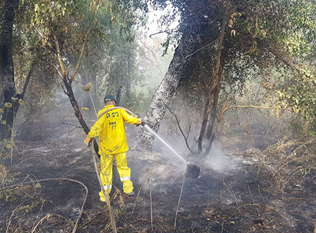 לוחם אש של קק"ל ביער תרום. צילום: יערן קק"ל רפאל ביטון