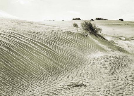 חולות עמק חפר לפני גאולתו, תחילת שנות ה-20. צילום: ארכיון הצילומים של קק''ל