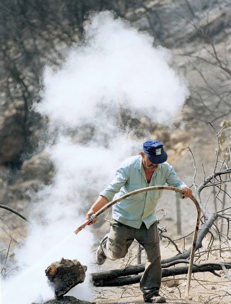 שריפה ביער. צילום: ארכיון הצילומים של קק''ל