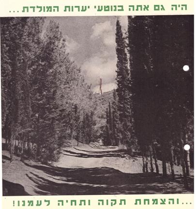 עמוד 3 מתוך חוברת "היער: קורותיו ועתידו", מתוך תיק "עלונים-יעור" (מספר KKL5/12874) שנמצא בתיקי קק"ל בארכיון הציוני המרכזי, מהשנים 1945-1943.