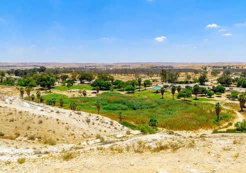 פארק גולדה בנגב. צילום: shutterstock
