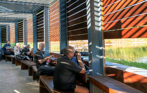 צפייה בציפורים בפארק ראש ציפור.  צילום: בוני שיינמן, ארכיון הצילומים של קקל