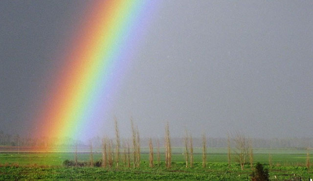 צילום: ארכיון הצילומים של קק