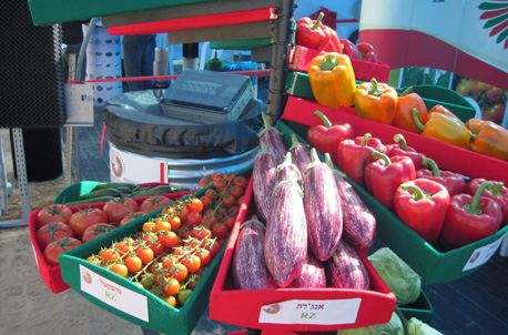 תצוגה חקלאית במו''פ הבשור.  צילום: ארכיון צילומי קק''ל