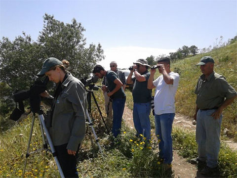 צוות הסוקרים במהלך הניטור ביערות הגלבוע. צילום: יהל פורת