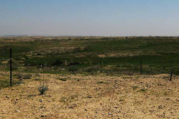 פארק סיירת שקד. צילום: ארכיון צילומי קק
