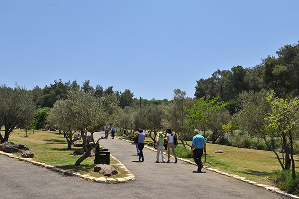מטיילים בפארק. צילום: גיא אסיאג