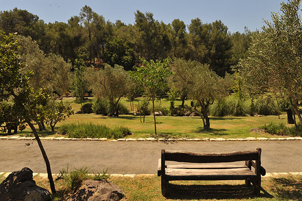 נוף בפארק. צילום: גיא אסיאג