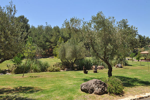 נוף בפארק. צילום: גיא אסיאג