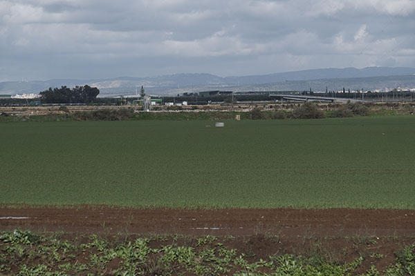 שדות קיבוץ פלך לאחר עבודות הניקוז. צילום: אבי הירשפילד, ארכיון הצילומים של קק"ל