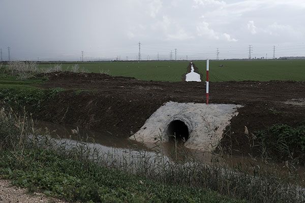 שדות קיבוץ פלך לאחר עבודות הניקוז. צילום: אבי הירשפילד, ארכיון הצילומים של קק"ל