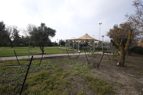 מתחם הבילוי והפנאי שהוקם בשעל. צילום: אבי הירשפילד, ארכיון הצילומים של קק"ל