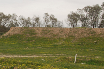 צילום: ארכיון הצילומים של קקל