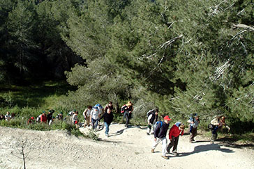 מטיילים בפארק בריטניה. צילום: ארכיון צילומי קקל